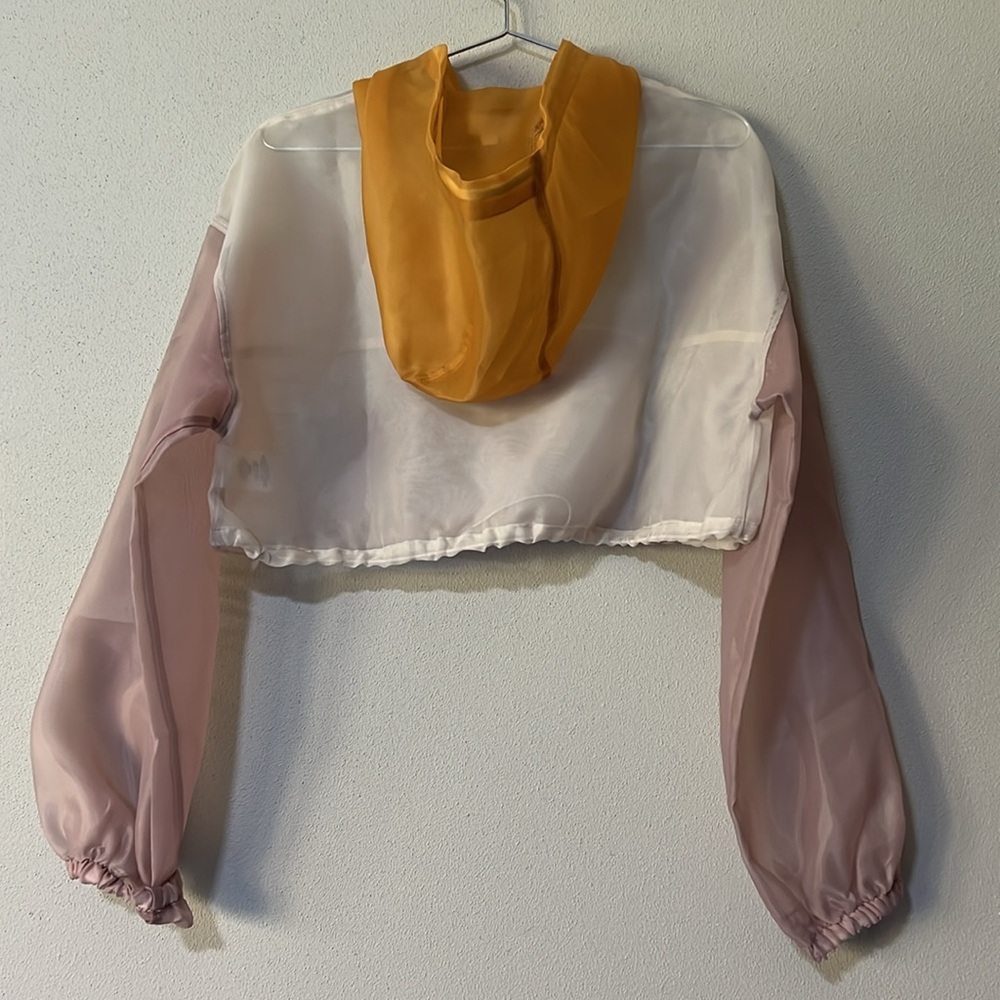 Sporty Sheer Cropped Hoodie via ANTHROPOLOGIE - Picture 3 of 9
